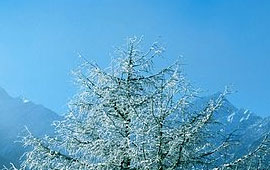 催化业务增长的Web漏洞扫描工具