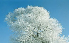 发卡网自动的DDOS网页端平台